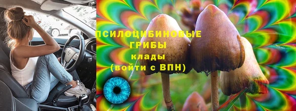 мдма Богданович