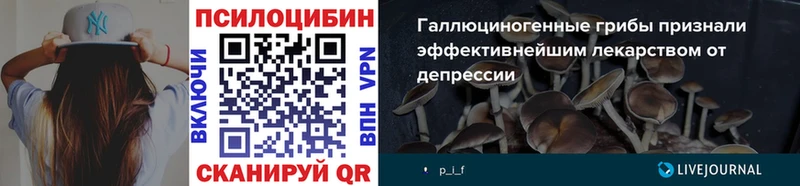 Купить где  Шлиссельбург  Галлюциногенные грибы мицелий 